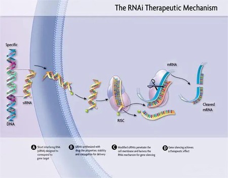 info-640-502 info-640-502