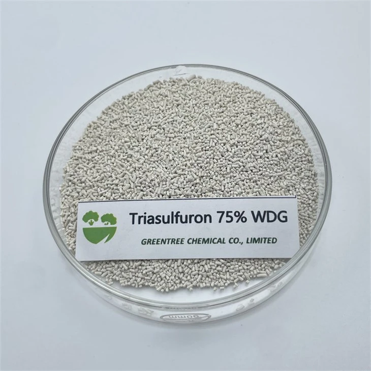広葉雑草を制御する除草剤トリアスルフロン 75% Wdg