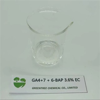6-BAP GA4+7 3.6%SL 植物成長調節剤により生産量が増加